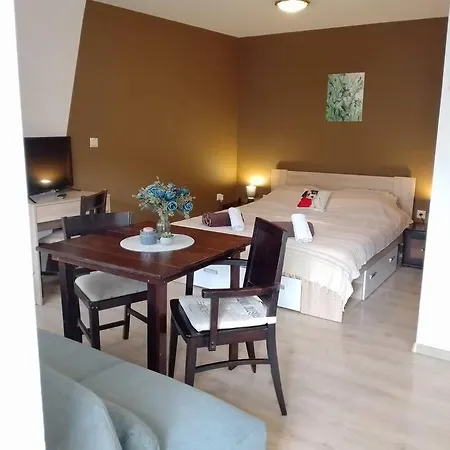 студио в близост до църквата и центъра на града Apartament *