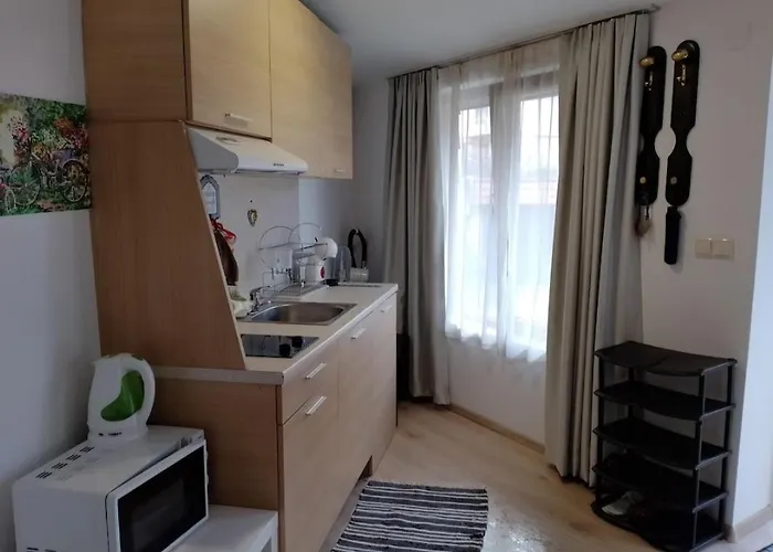 студио в близост до църквата и центъра на града * Bansko