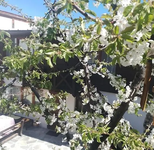 Apartamento студио в близост до църквата и центъра на града Bansko